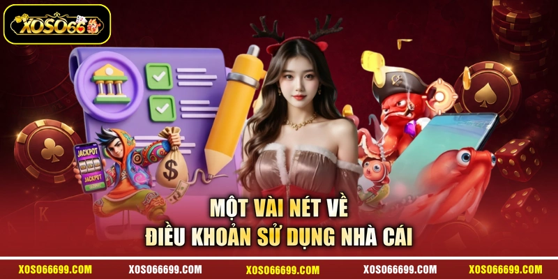 Một vài nét về điều khoản sử dụng nhà cái