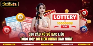 Soi Cầu Xổ Số Bạc Liêu - Tổng Hợp Dữ Liệu Chính Xác Nhất